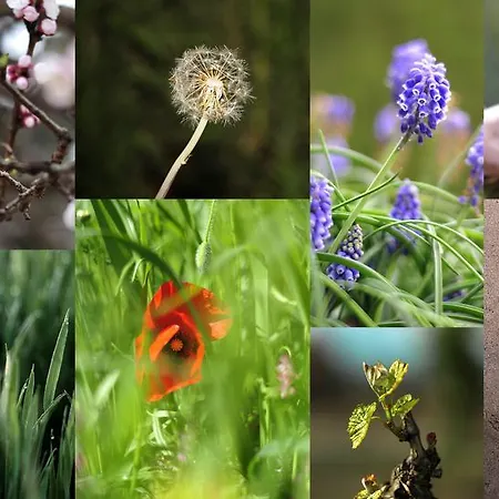 Cal Barcelo Vandellós